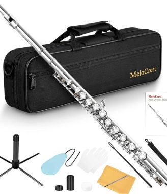 Nickel Plated Closed Hole Flute for Beginner Student and School Orchestra Band, 16 Keys C Flute with Carrying Case, Stand, Gloves, Cleaning Kit & Tuning Rod and More